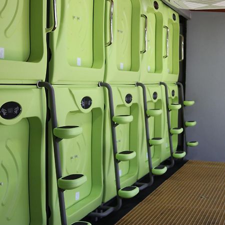 Pupa House - Capsule Hotel - Adults Only Tamarindo Zewnętrze zdjęcie