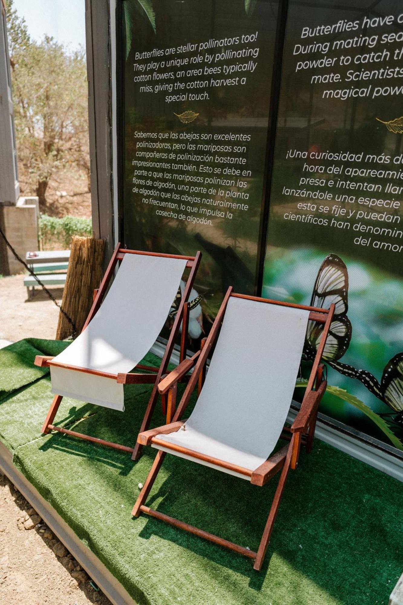 Pupa House - Capsule Hotel - Adults Only Tamarindo Zewnętrze zdjęcie